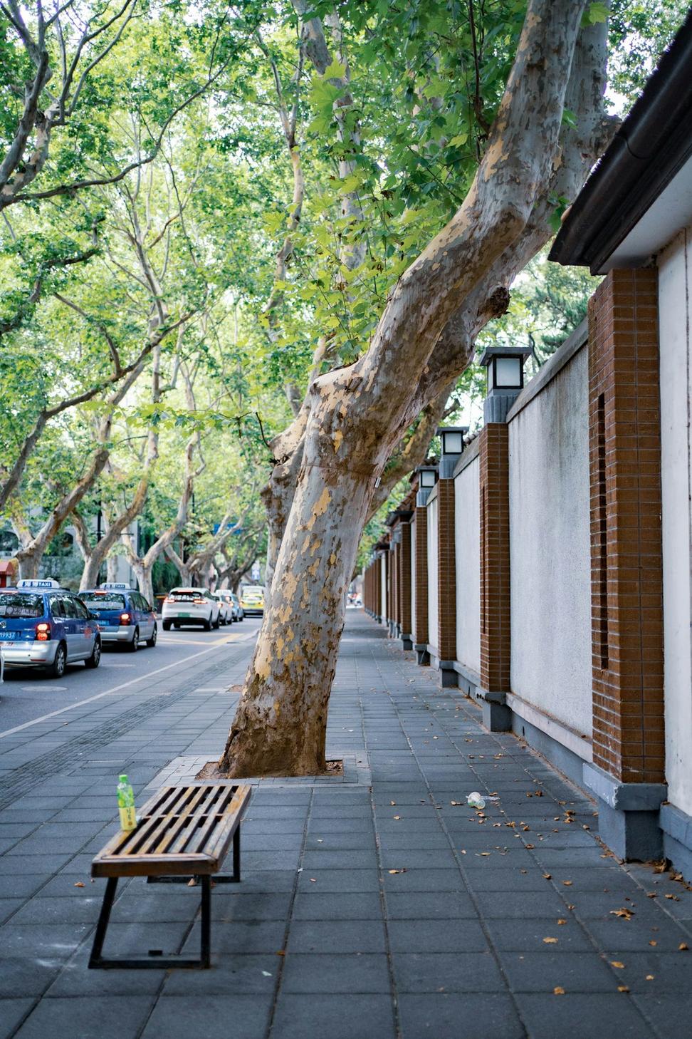 Fraser Street Project